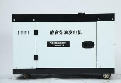尼勒克科克12kw小型柴油发电机组