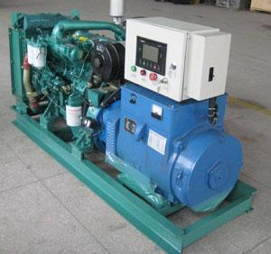 尼勒克发电机出租